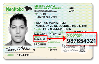 Document Number On Drivers License Ontario