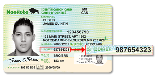 on what documents can i find my drivers license number